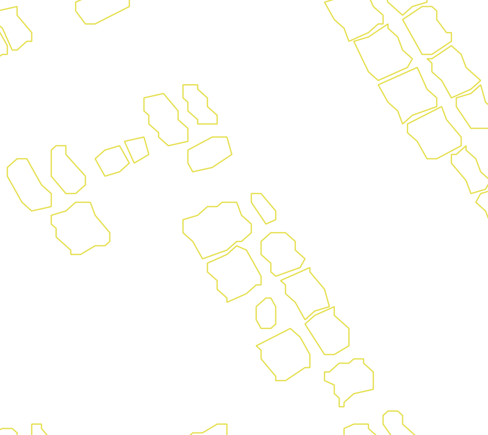 Daksegment met contourlijnen en structuurweergave