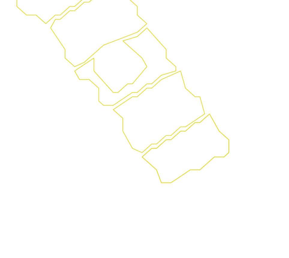 Daksegment ingezoomd met contourlijnen en structuurweergave