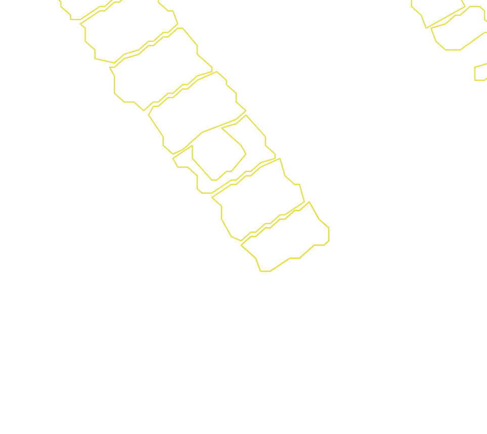 Daksegment met contourlijnen en structuurweergave