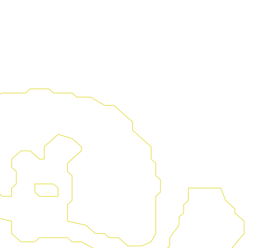 Daksegment ingezoomd met contourlijnen en structuurweergave