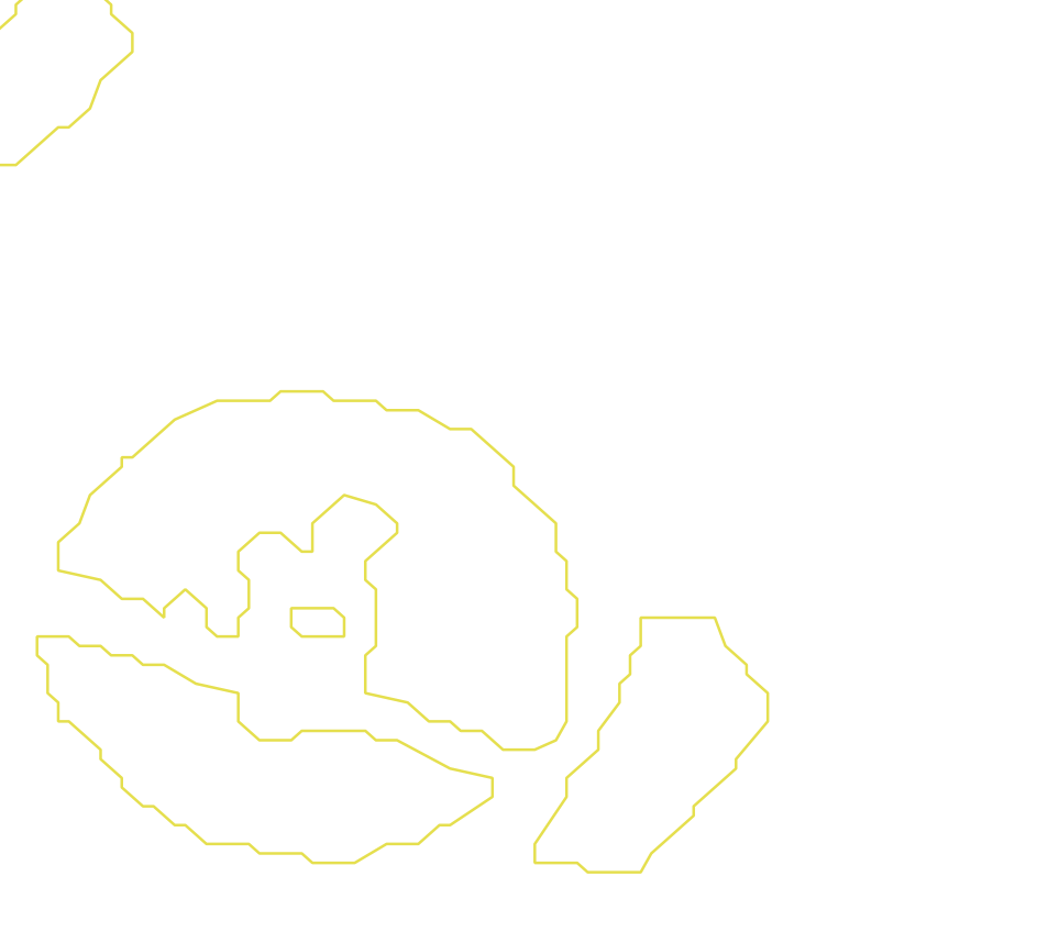 Daksegment met contourlijnen en structuurweergave