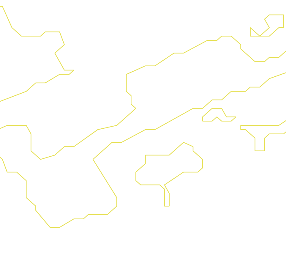 Daksegment ingezoomd met contourlijnen en structuurweergave