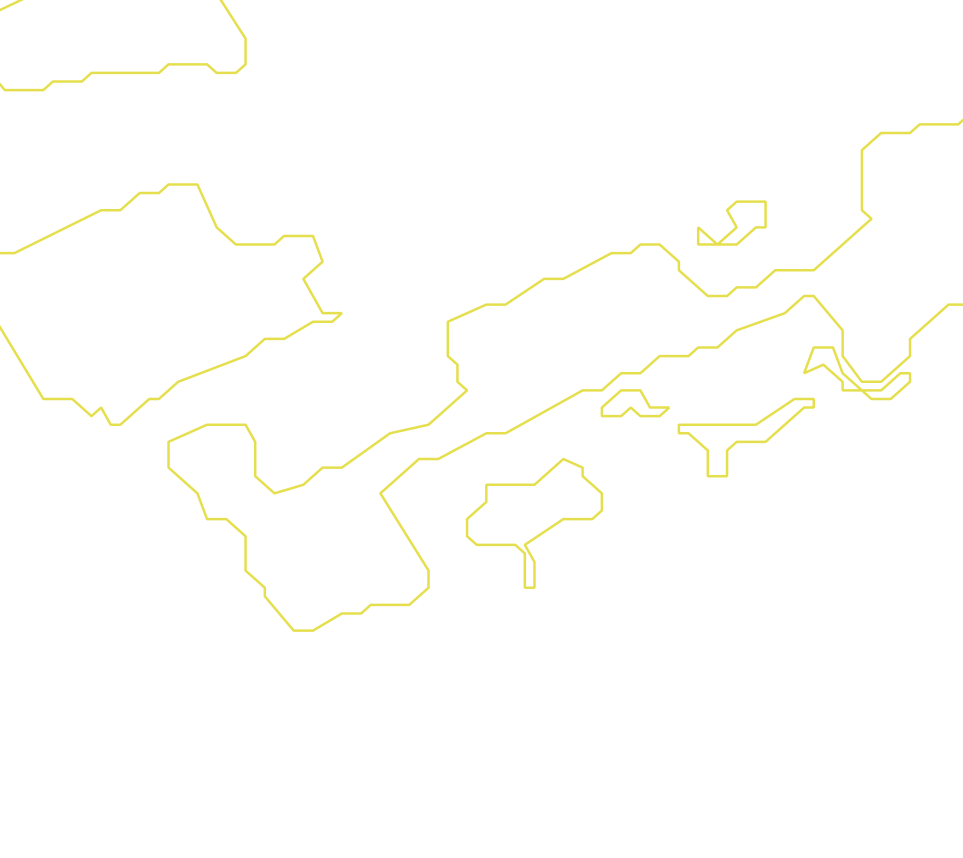 Daksegment met contourlijnen en structuurweergave