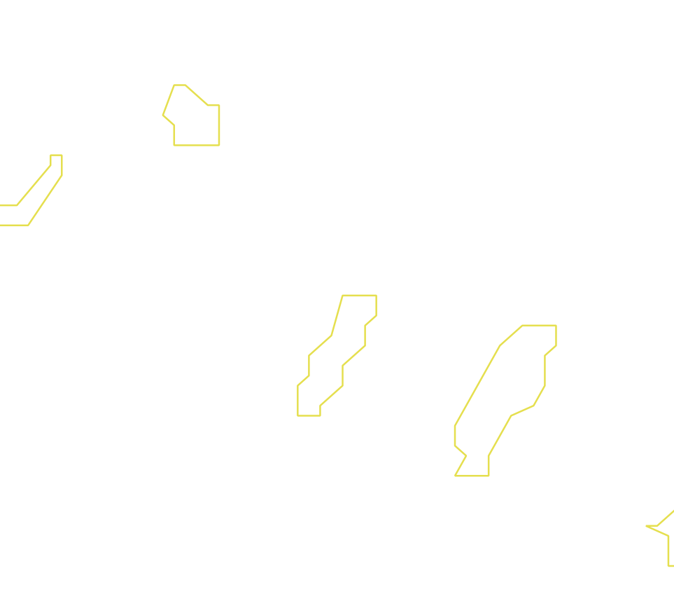 Daksegment ingezoomd met contourlijnen en structuurweergave