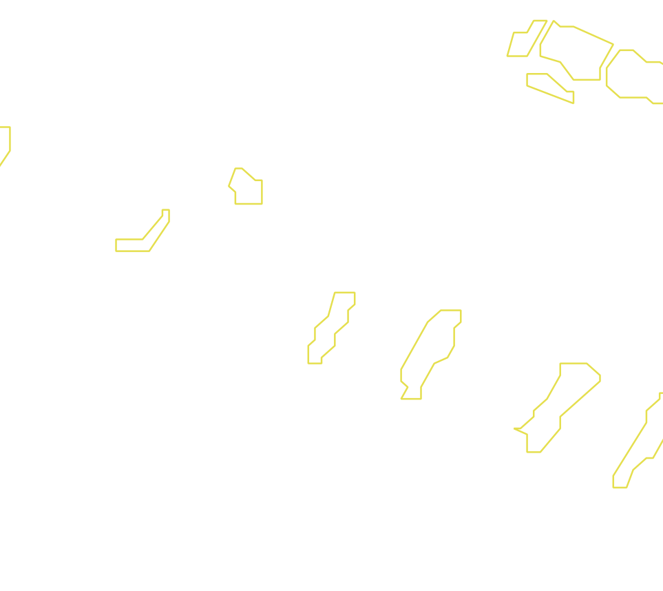Daksegment met contourlijnen en structuurweergave