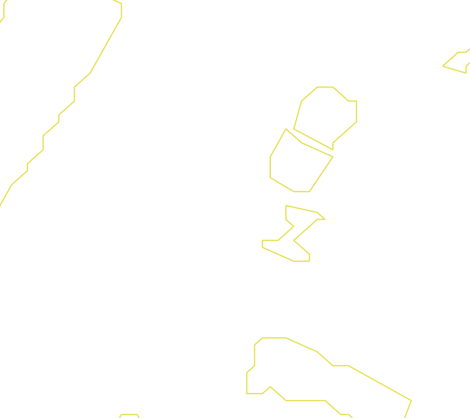 Daksegment ingezoomd met contourlijnen en structuurweergave