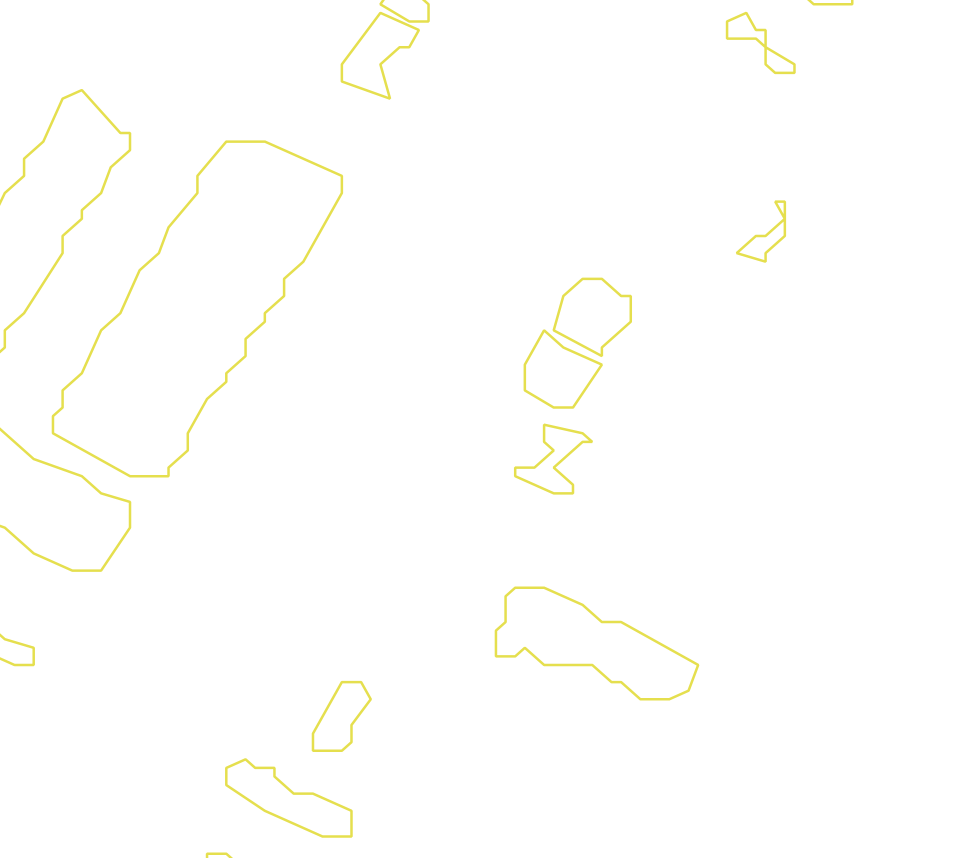 Daksegment met contourlijnen en structuurweergave