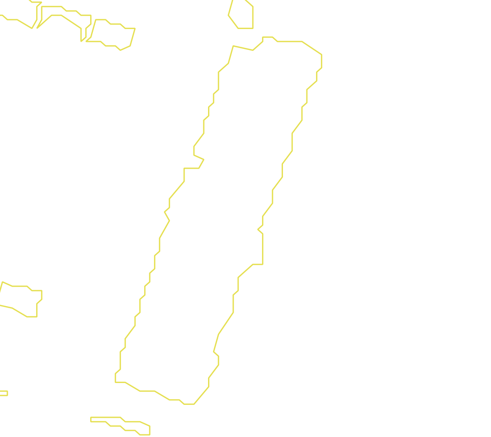 Daksegment met contourlijnen en structuurweergave