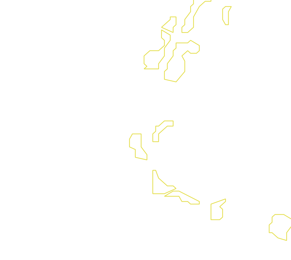 Daksegment met contourlijnen en structuurweergave