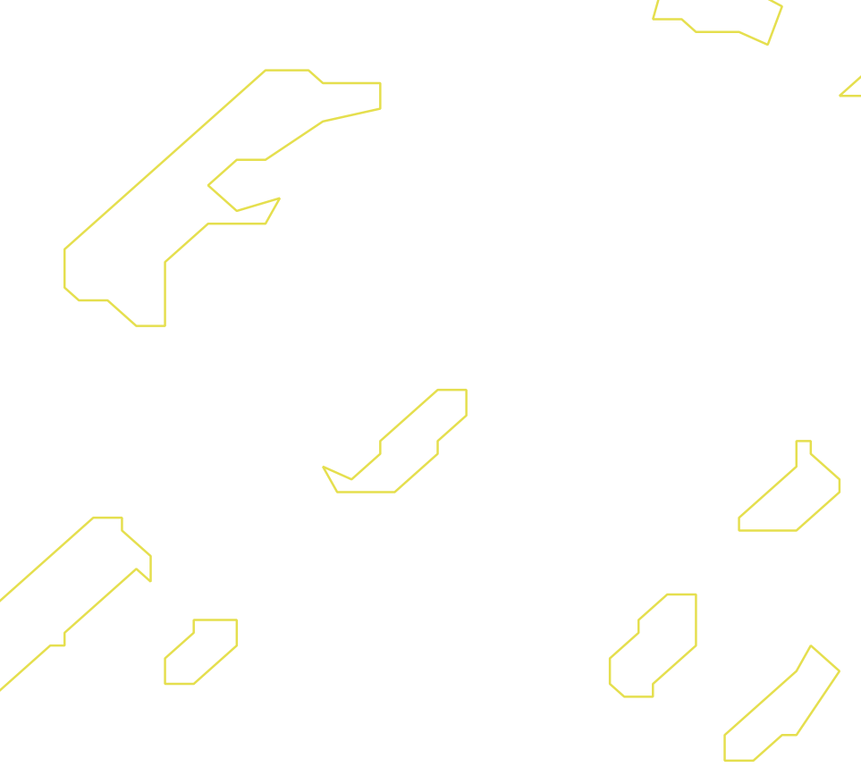 Daksegment ingezoomd met contourlijnen en structuurweergave