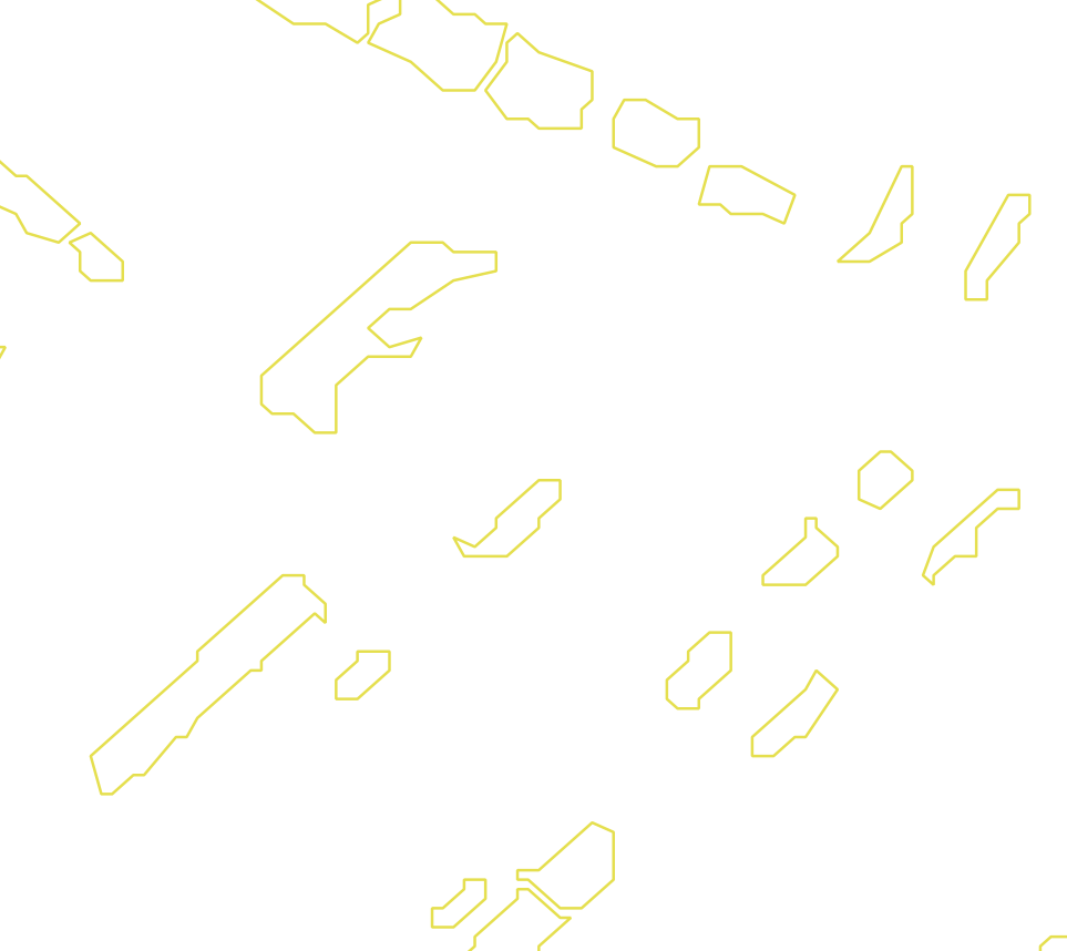 Daksegment met contourlijnen en structuurweergave