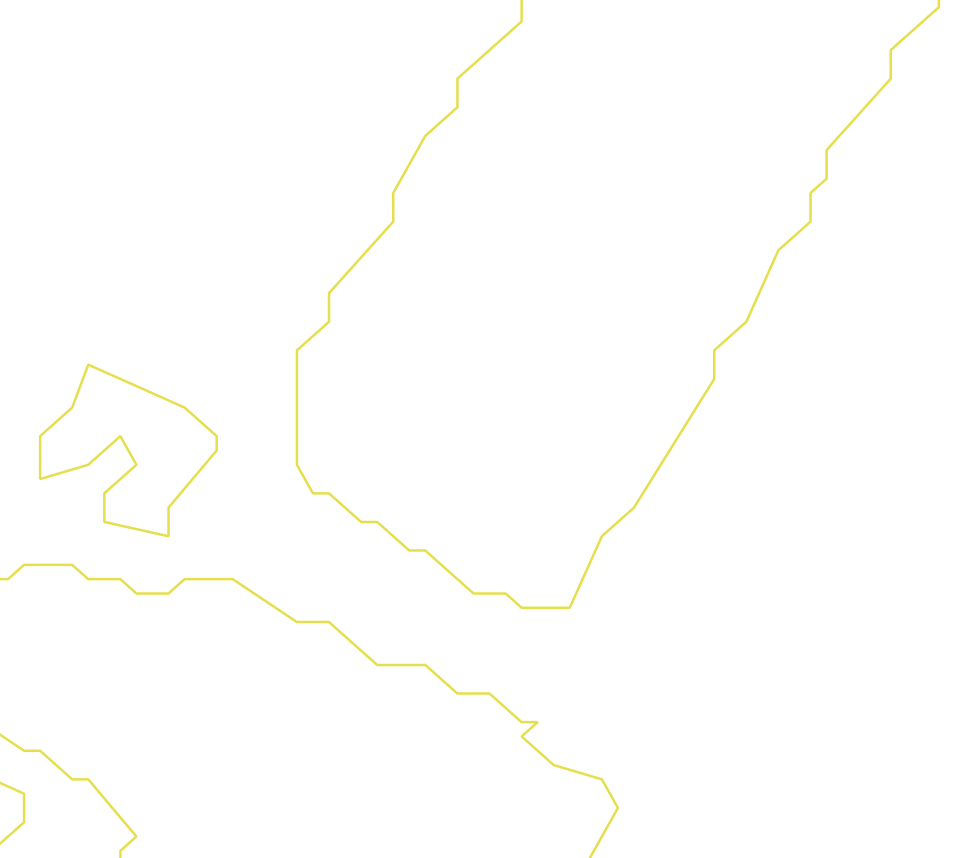 Daksegment ingezoomd met contourlijnen en structuurweergave
