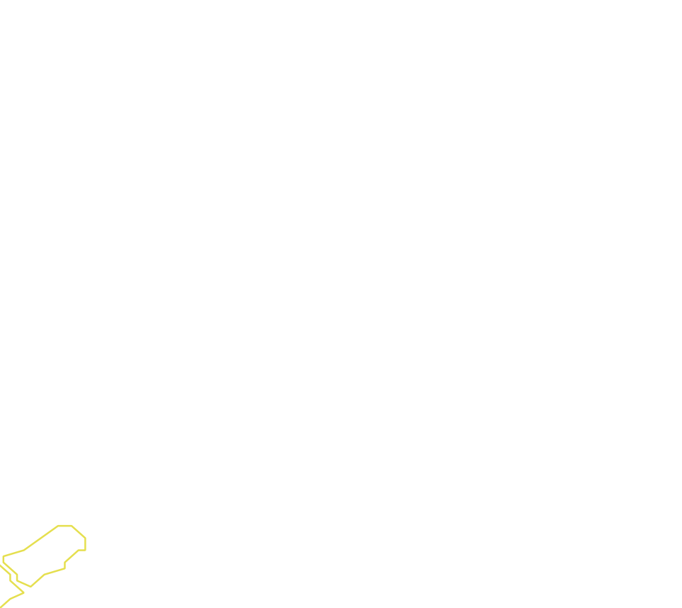 Daksegment met contourlijnen en structuurweergave