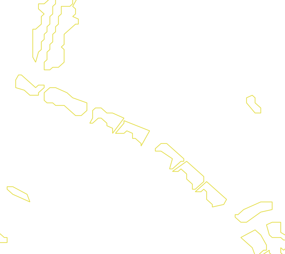 Daksegment met contourlijnen en structuurweergave
