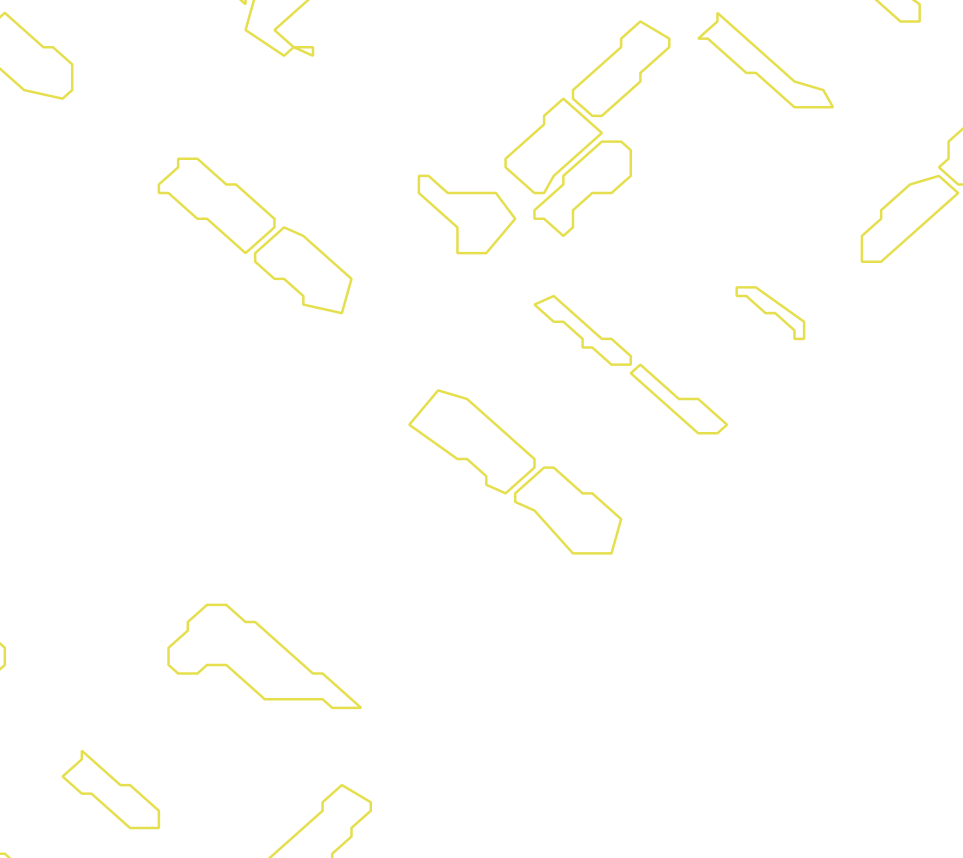 Daksegment met contourlijnen en structuurweergave