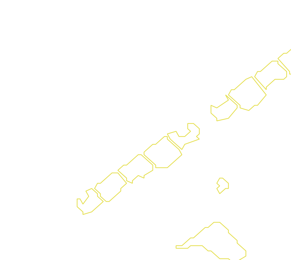 Daksegment met contourlijnen en structuurweergave