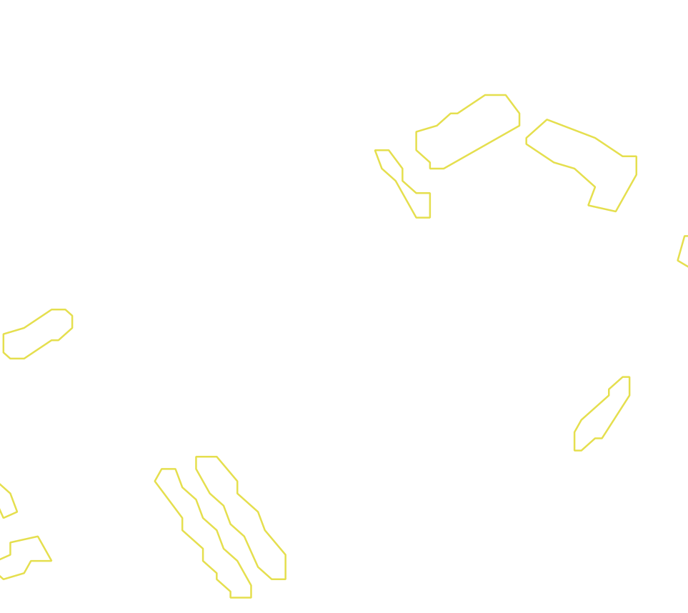 Daksegment met contourlijnen en structuurweergave