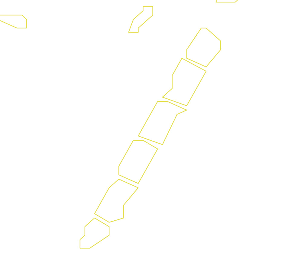 Daksegment ingezoomd met contourlijnen en structuurweergave