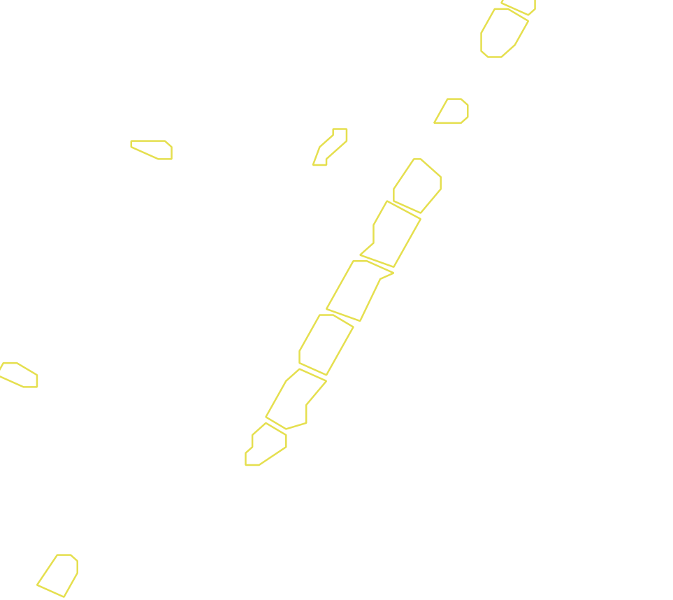 Daksegment met contourlijnen en structuurweergave