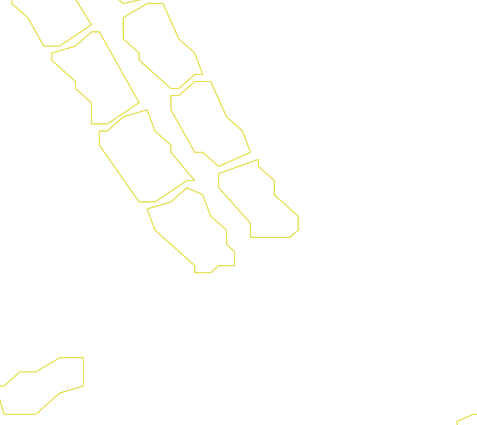 Daksegment ingezoomd met contourlijnen en structuurweergave