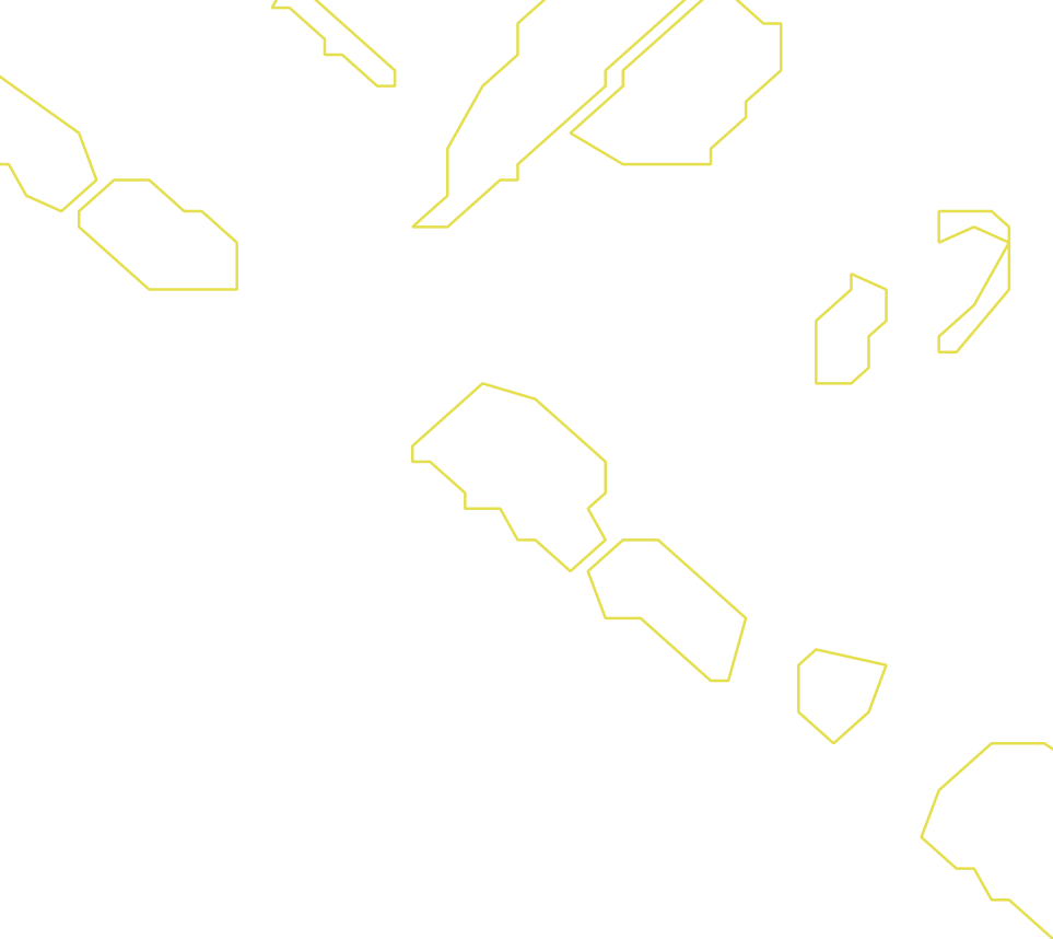 Daksegment ingezoomd met contourlijnen en structuurweergave