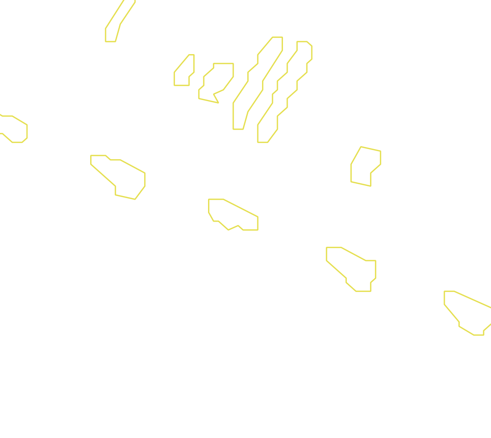 Daksegment met contourlijnen en structuurweergave