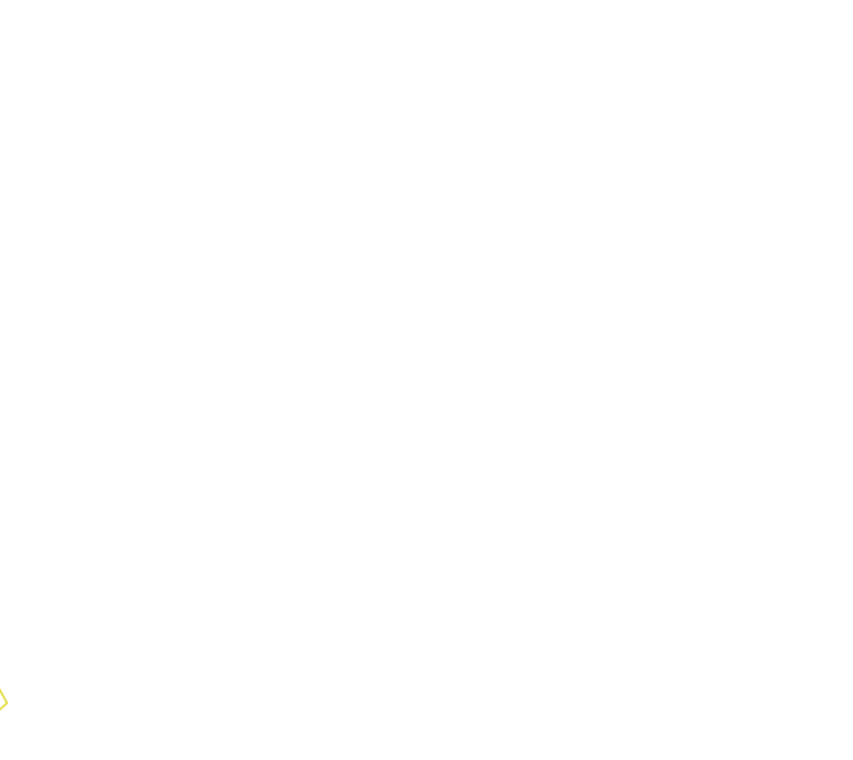 Daksegment ingezoomd met contourlijnen en structuurweergave