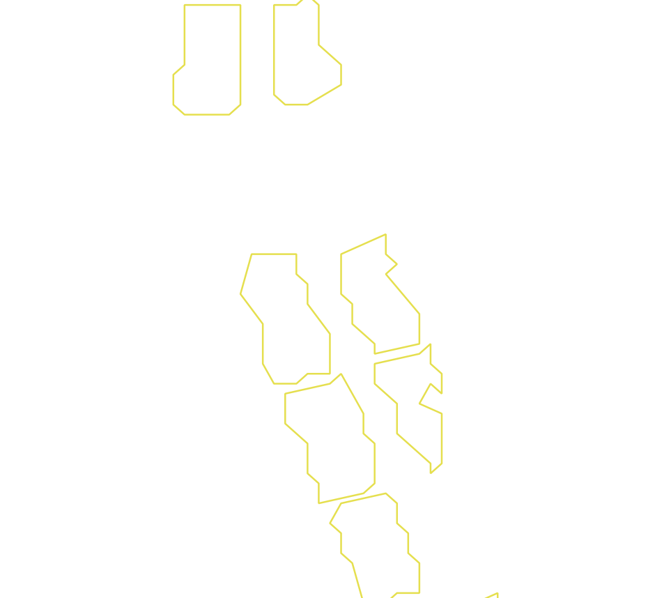 Daksegment ingezoomd met contourlijnen en structuurweergave