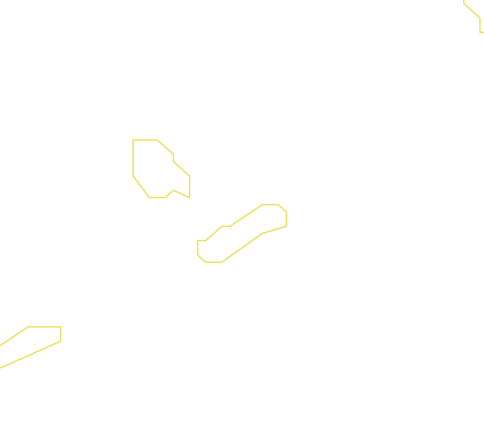 Daksegment ingezoomd met contourlijnen en structuurweergave