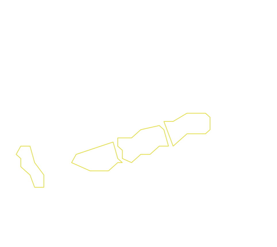 Daksegment ingezoomd met contourlijnen en structuurweergave