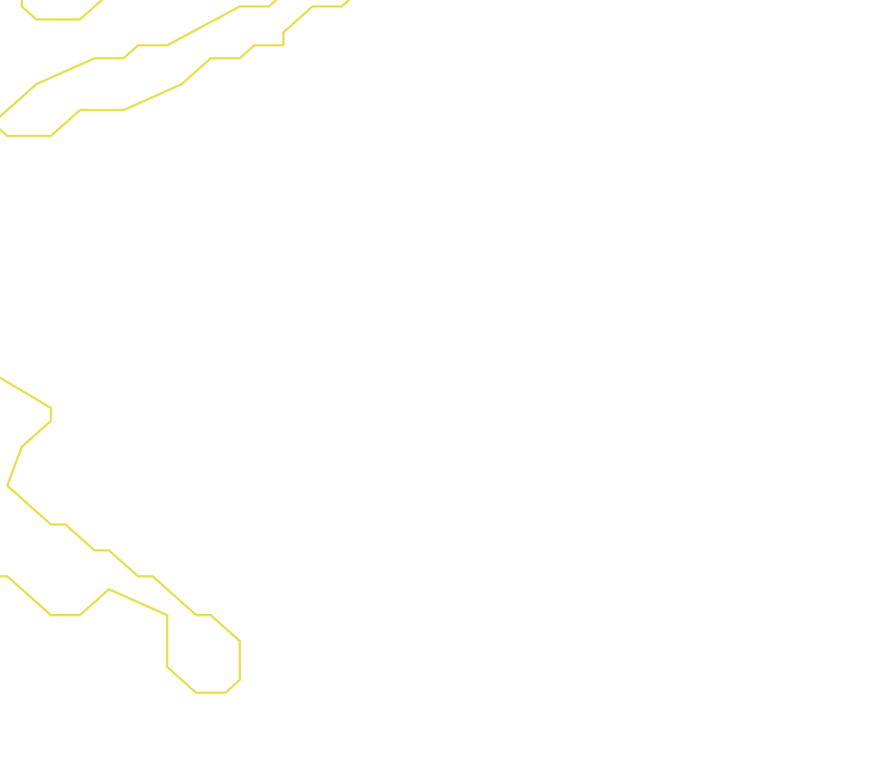 Daksegment ingezoomd met contourlijnen en structuurweergave