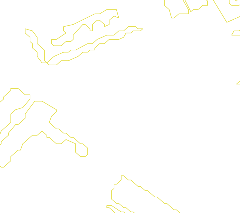 Daksegment met contourlijnen en structuurweergave