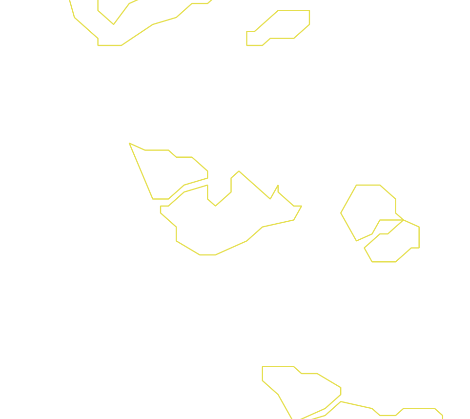 Daksegment ingezoomd met contourlijnen en structuurweergave