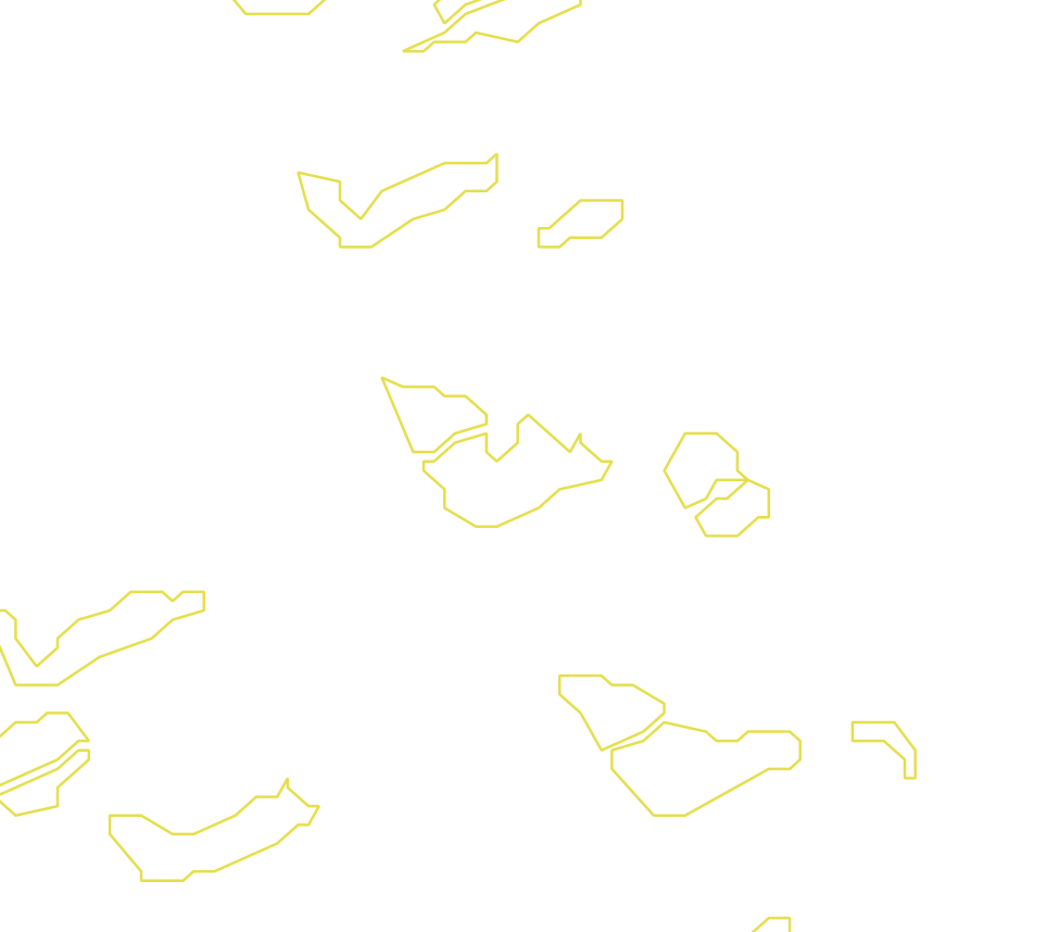 Daksegment met contourlijnen en structuurweergave