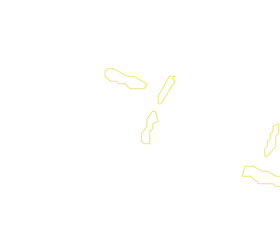 Daksegment met contourlijnen en structuurweergave