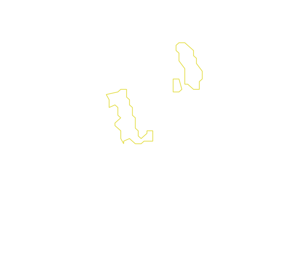 Daksegment met contourlijnen en structuurweergave
