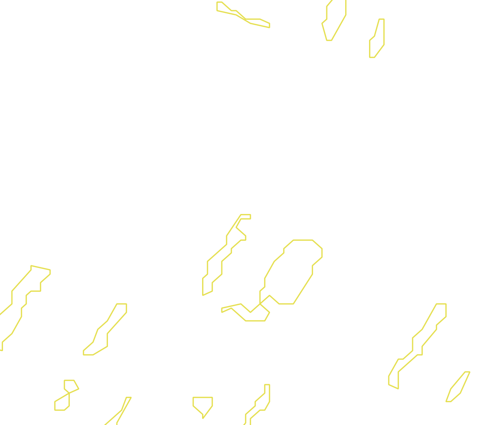 Daksegment met contourlijnen en structuurweergave