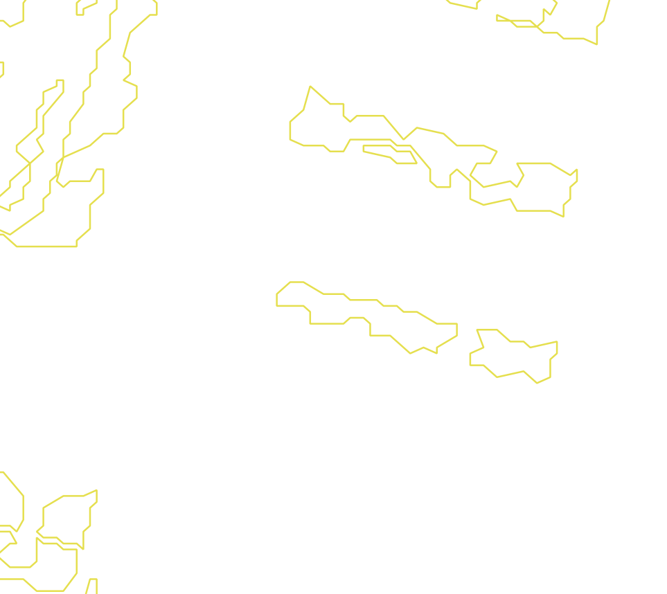 Daksegment met contourlijnen en structuurweergave
