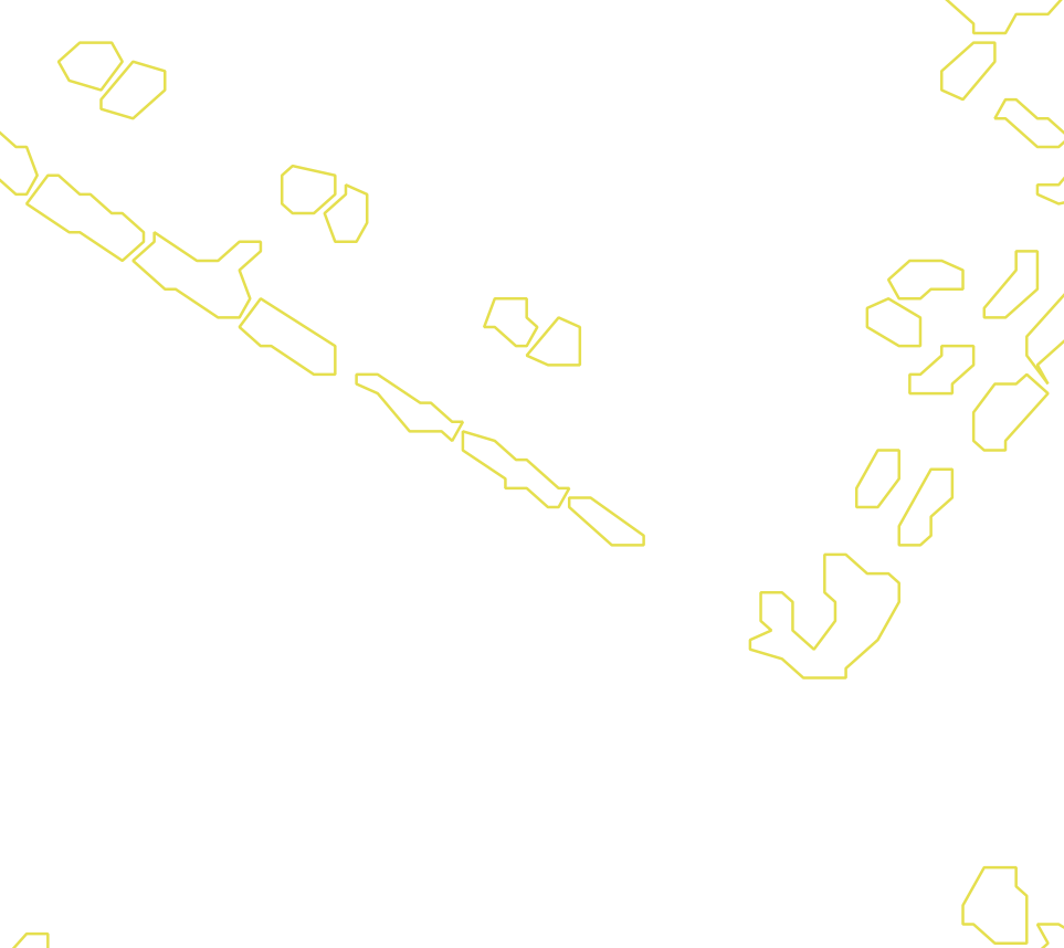Daksegment met contourlijnen en structuurweergave