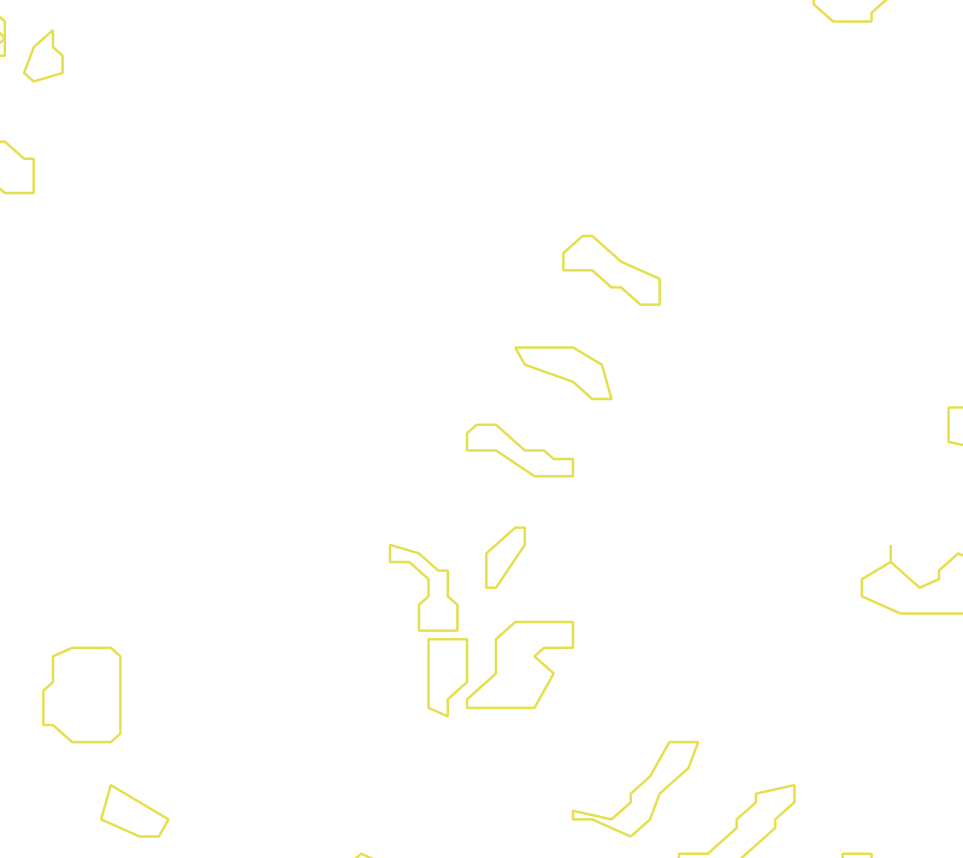 Daksegment met contourlijnen en structuurweergave