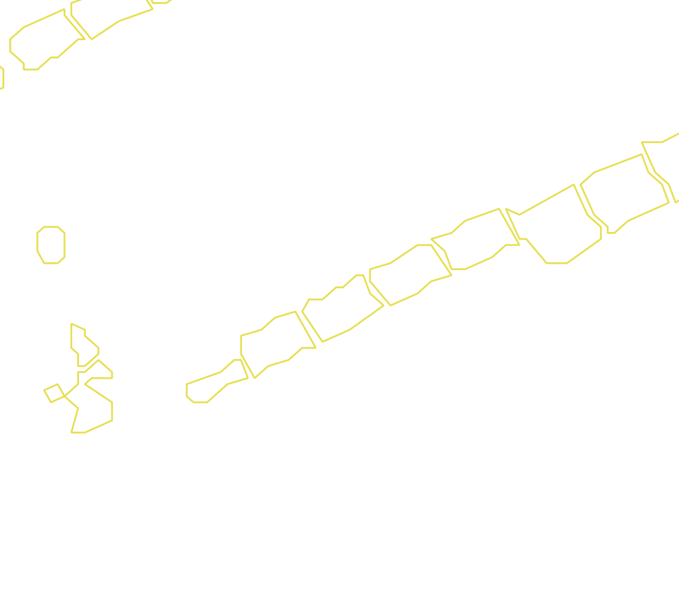 Daksegment met contourlijnen en structuurweergave