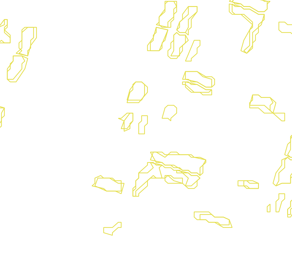 Daksegment met contourlijnen en structuurweergave