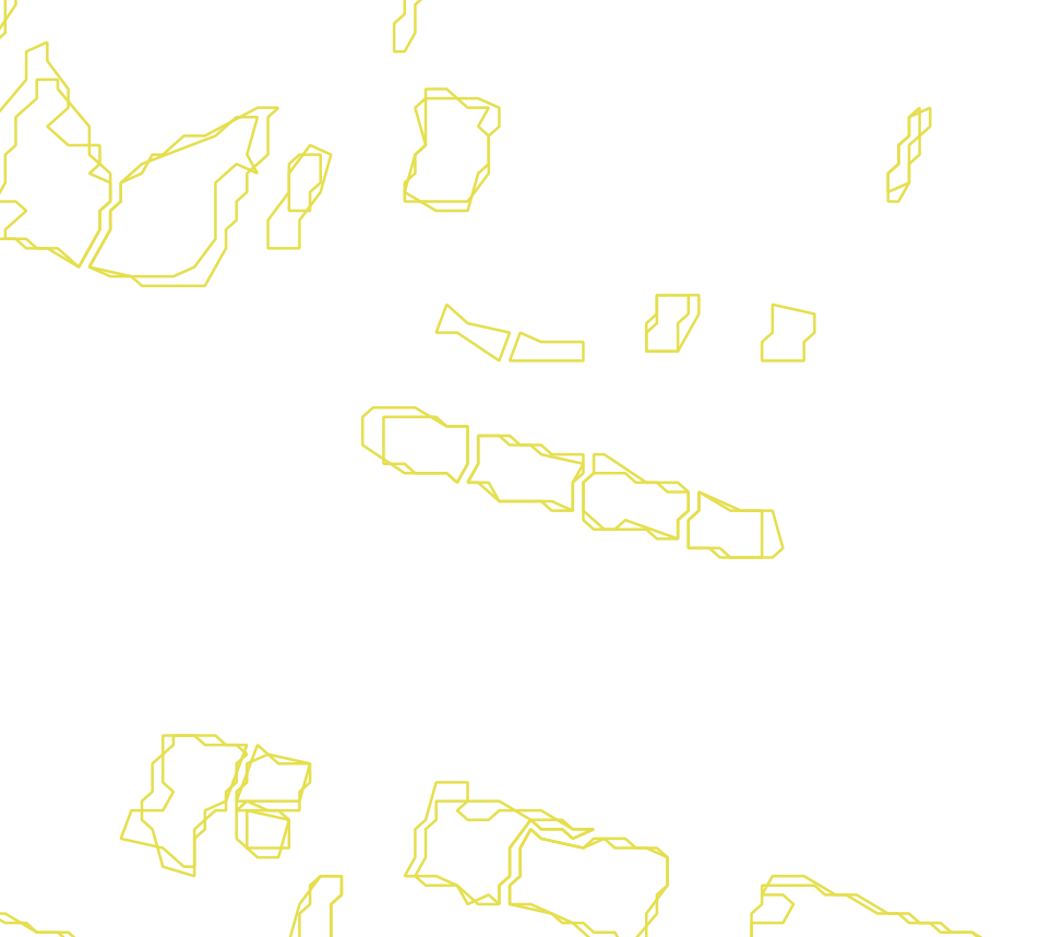 Daksegment met contourlijnen en structuurweergave