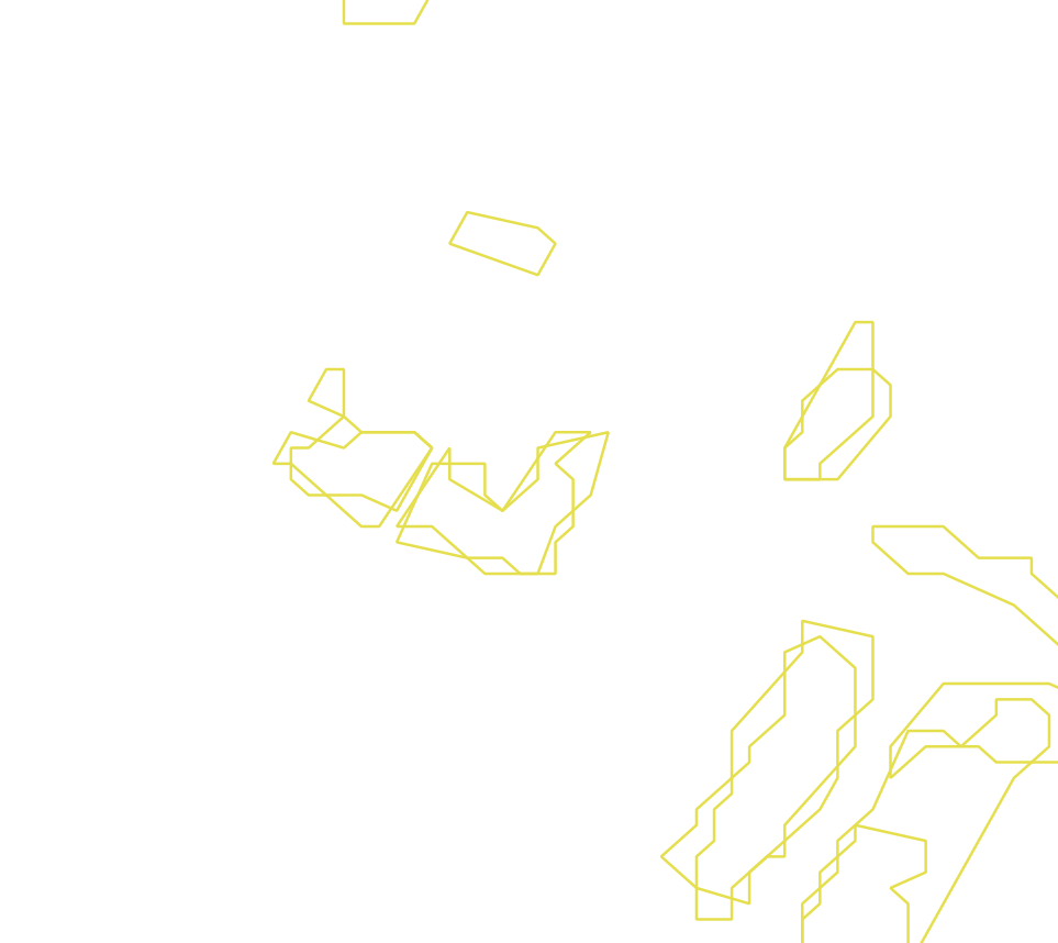 Daksegment ingezoomd met contourlijnen en structuurweergave