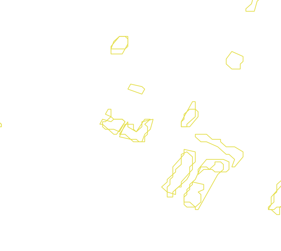 Daksegment met contourlijnen en structuurweergave