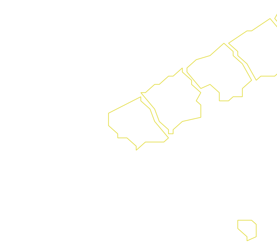 Daksegment ingezoomd met contourlijnen en structuurweergave