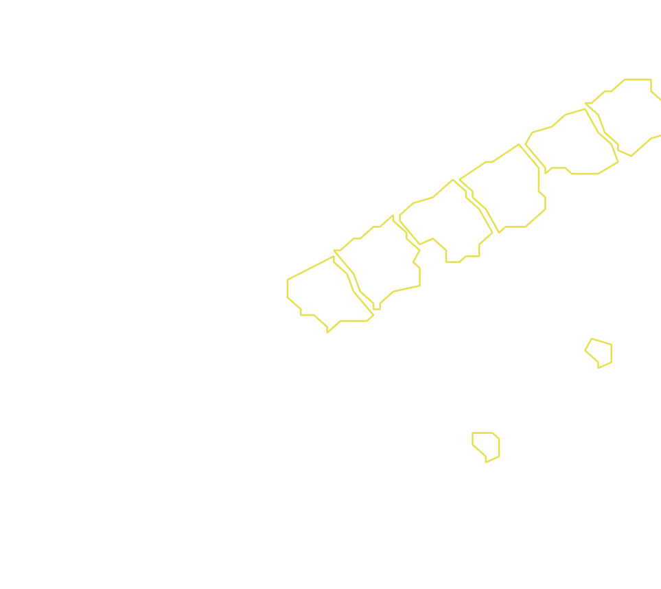 Daksegment met contourlijnen en structuurweergave