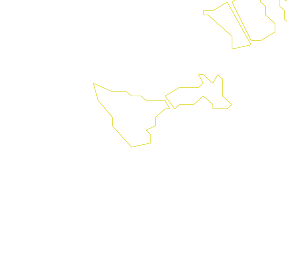 Daksegment ingezoomd met contourlijnen en structuurweergave