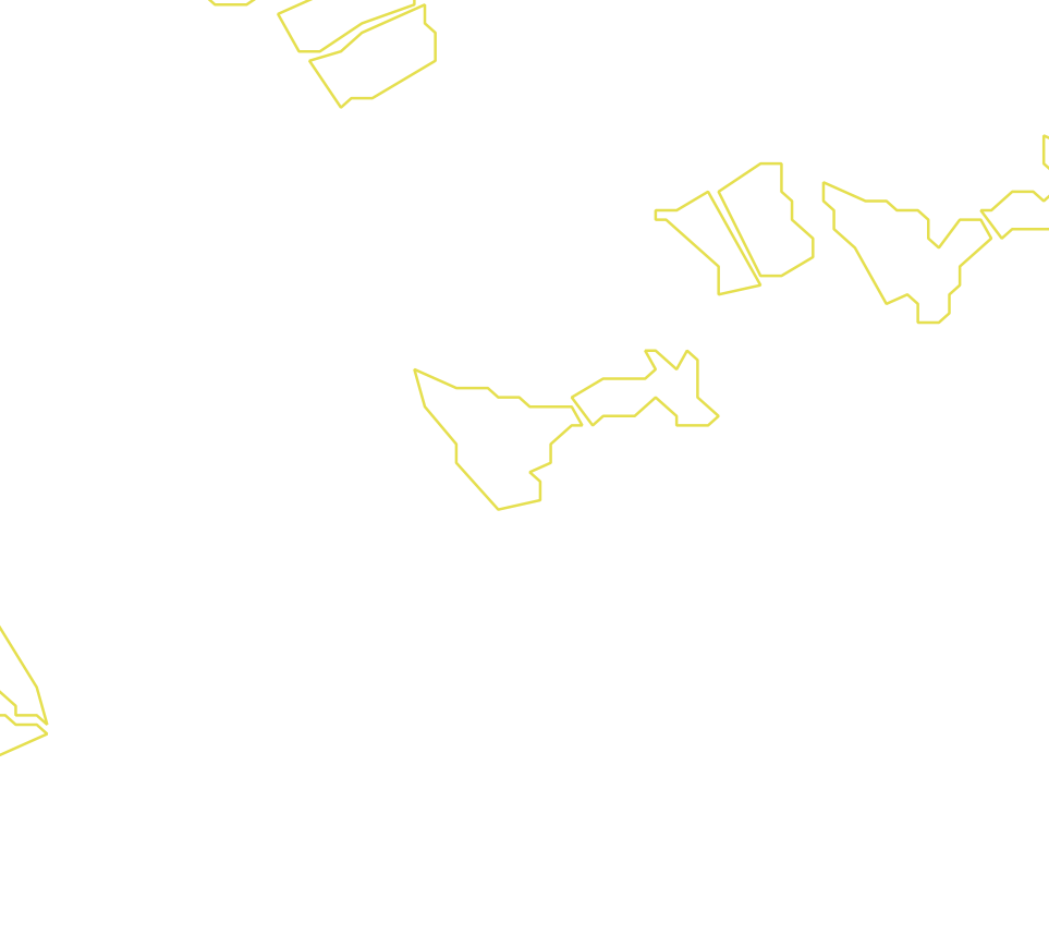 Daksegment met contourlijnen en structuurweergave