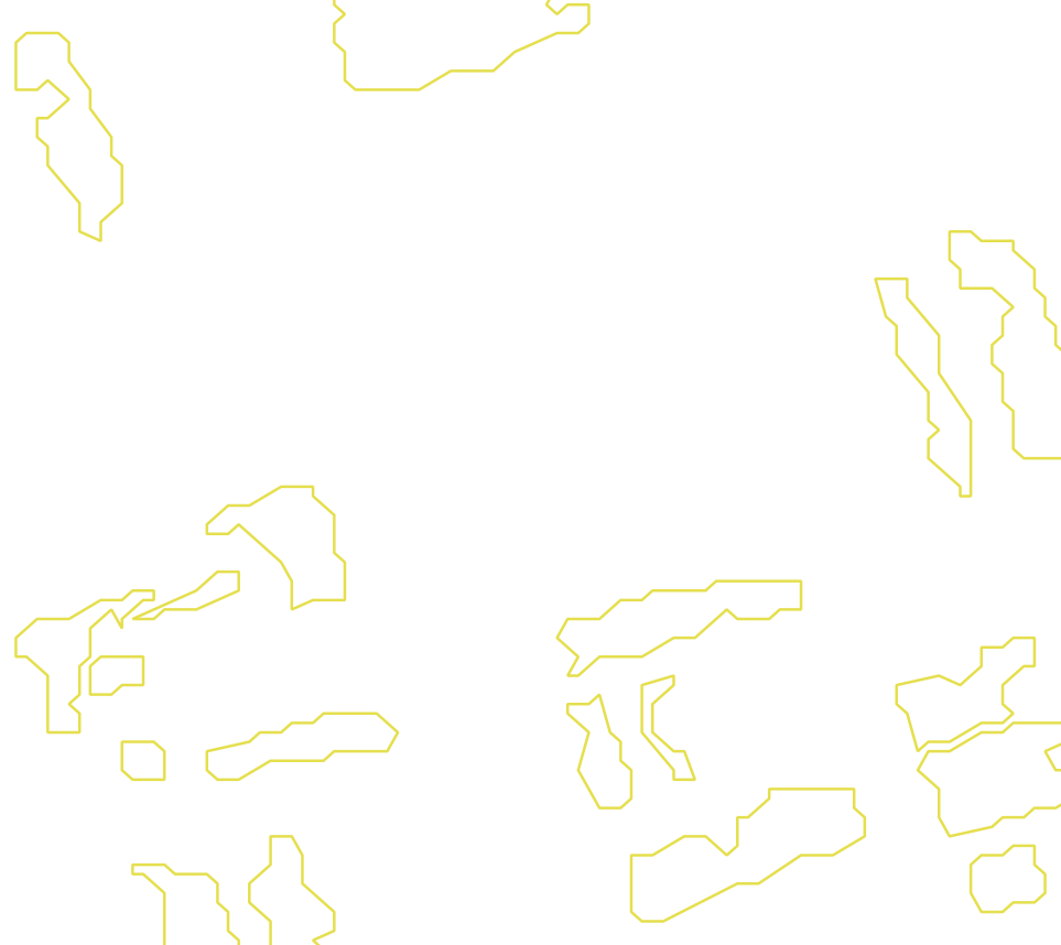 Daksegment met contourlijnen en structuurweergave